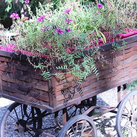 Aux Berges De La Thur Bed & Breakfast