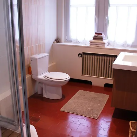 Aux Berges De La Thur Bed & Breakfast Staffelfelden