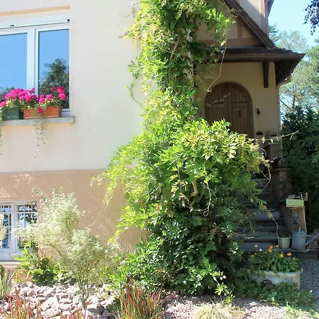 Nocleg ze śniadaniem Aux Berges De La Thur 3*