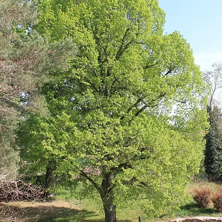 Aux Berges De La Thur Nocleg ze śniadaniem